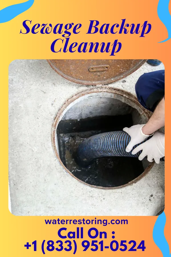 Sewage Backup Cleanup in Collinsville, TX